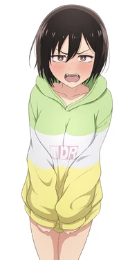 Pixiv&gelbooru——Non-H collections 240