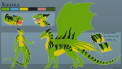 [various] Adhara (OC by Guardian-hawk)