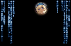 [Baaki] Onna Shinkan Gob Mamba Ochi (Goblin Slayer)