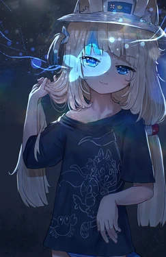 Pixiv&gelbooru——Non-H collections 250