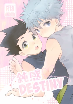 (Re:HUNTER 11) [SHIROZONE (Mizushiro Yuduki)] Donkan DESTINY (Hunter x Hunter)