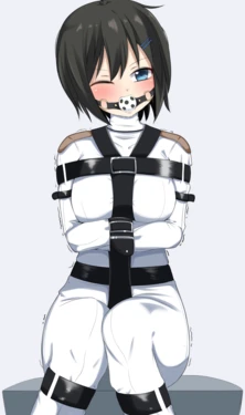 [Pixiv] 段丸 (20080876)