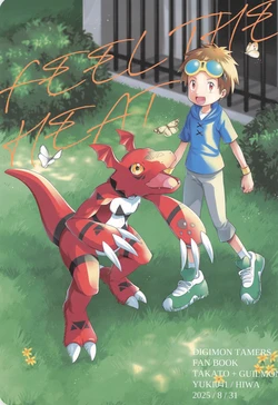 [Yuki 041 (Hiwa)] FEEL THE HEAT (Digimon Tamers)