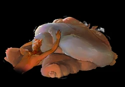 [Artist]Kiwipancakes