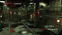 Ania 856.1 Chap. 1 - Saving Ania