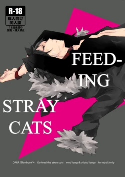 [Sankaku-kuuu] Feeding Stray Cats - Durarara doujin [English] {KCK-Amateur Scans}