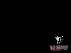 SHINSENGUMI ~Bakumatsu Gensou Ren'ai Kitan~