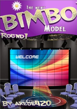 The next (BIMBO)Model (ONGOING