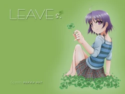 Leaves. [Bekko.net] [2005] [Censored]