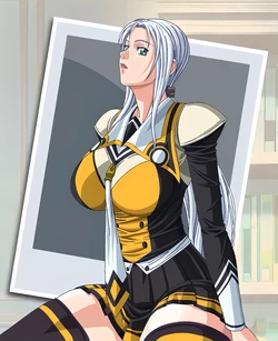 Karen Himeki_Discipline - The record of a Crusade-