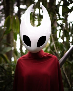 Adventure Juntos - Hornet