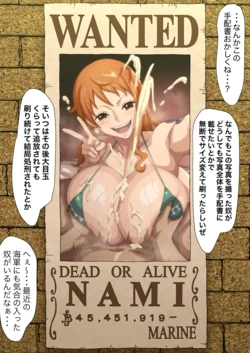 [Iwao] Nami-san (One Piece)