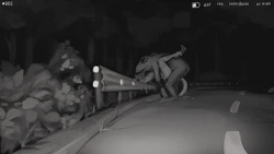 #MFtober:Cryptids [kittysonrice]