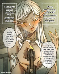 [Senukin] I Was Captured as a Dark Elf’s Toy
