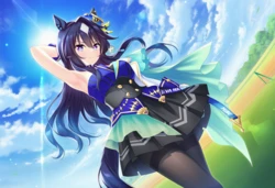 极峰想要用马儿跳来忘记失败的痛苦 (Uma Musume) 【AI Generated】