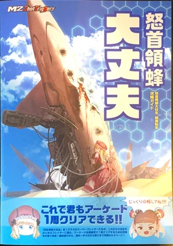 DoDonPachi DaiOuJou Re:Incarnation Strategy Guide