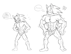 [Kandlekidart] Beef'd Up Sonic