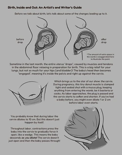 [Zendrid] Birth, Inside and Out: An Artist's and Writer's Guide