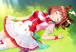 喜欢晒太阳的莱茵力量(Uma Musume) 【AI Generated】