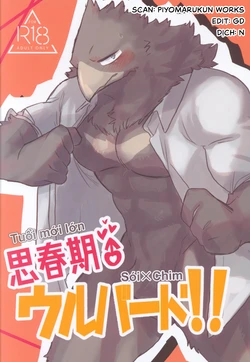 (Shinshun Kemoket 11) [Mafumofuya (Nokkun)] Tuổi Mới Lớn Sói x Chim [Viet]