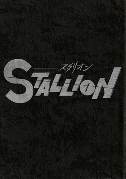 (C26) [BIBLE (Various)] STALLION (Various)