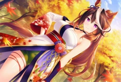 鲁道夫象征：被我的精湛的技术吓哭了吧  (Uma Musume) 【AI Generated】