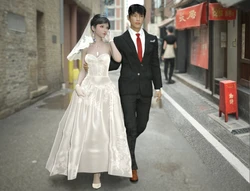 The Fall Of The Swan vol.4 (Preview)