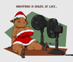 João Pereira Collection