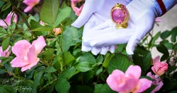 Colorful Kitten - Madoka Kaname