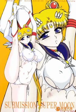 (C84) [BLACK DOG (Kuroinu Juu)] SUBMISSION-SUPER MOON (Bishoujo Senshi Sailor Moon) [Chinese] [Colorized]