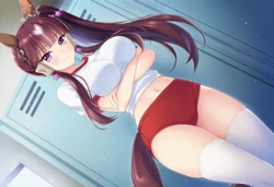 吃胖的旺紫丁被训练员一眼叮帧(Uma Musume) 【AI Generated】