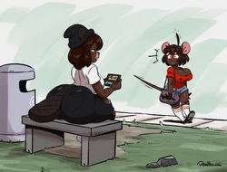 João Pereira Collection