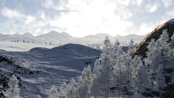 Gynocracy part 1 femdom story