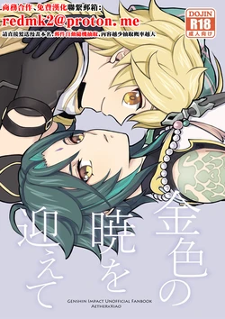 [Hatonic (Yokonaka)] Kiniro no Akatsuki o Mukaete (Genshin Impact) [Chinese] [Digital]