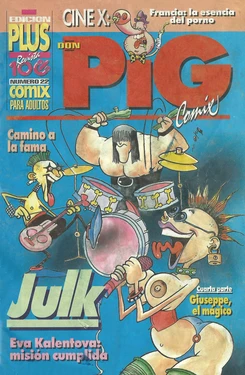 DON PIG COMIX  - 22 suplemento de la Revista 100%