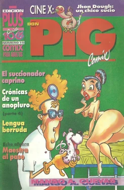 DON PIG COMIX  - 16 suplemento de la Revista 100%