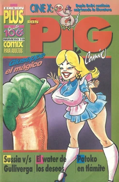 DON PIG COMIX  - 19 suplemento de la Revista 100%
