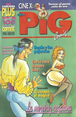 DON PIG COMIX  - 21 suplemento de la Revista 100%
