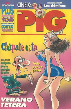 DON PIG COMIX  - 24 suplemento de la Revista 100%