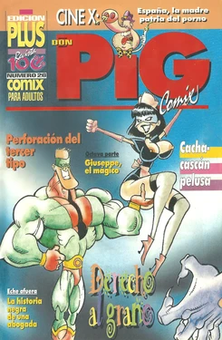 DON PIG COMIX  - 26 suplemento de la Revista 100%