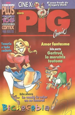 DON PIG COMIX  - 29 suplemento de la Revista 100%