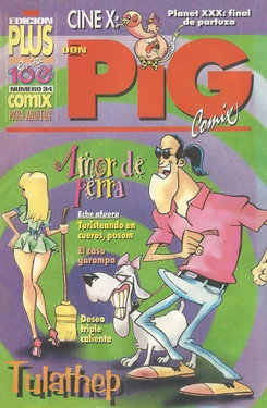 DON PIG COMIX  - 34 suplemento de la Revista 100%