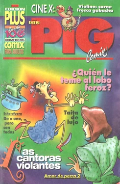 DON PIG COMIX  - 35 suplemento de la Revista 100%