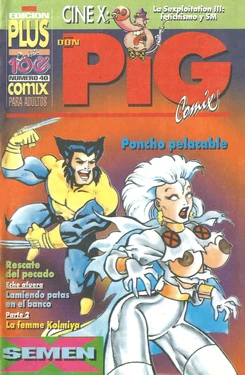 DON PIG COMIX  - 40 suplemento de la Revista 100%