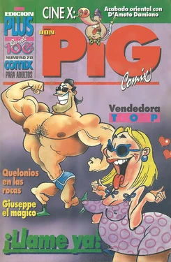 DON PIG COMIX - 20 suplemento de la Revista 100%