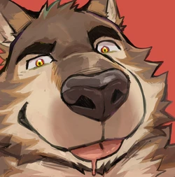 [collection]meocondainhan