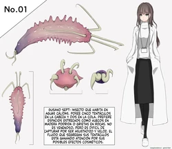 Insect Research Report (Spanish) MTL