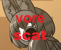 [nonenonenonenon] Cellien serval analvore