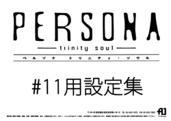 Settei: Persona: Trinity Soul