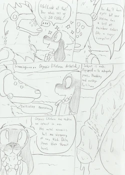 [FoolyFox] Aero & Rilu